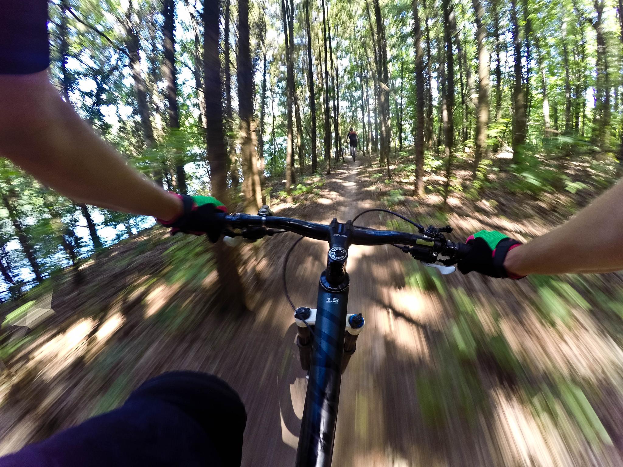 First-person view of mountain biking on a sunny forest trail.