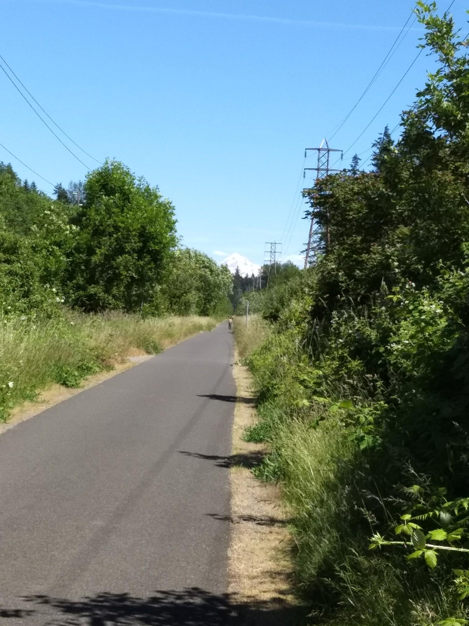 Paved path lined with green trees, power lines, and distant snowy mountain.