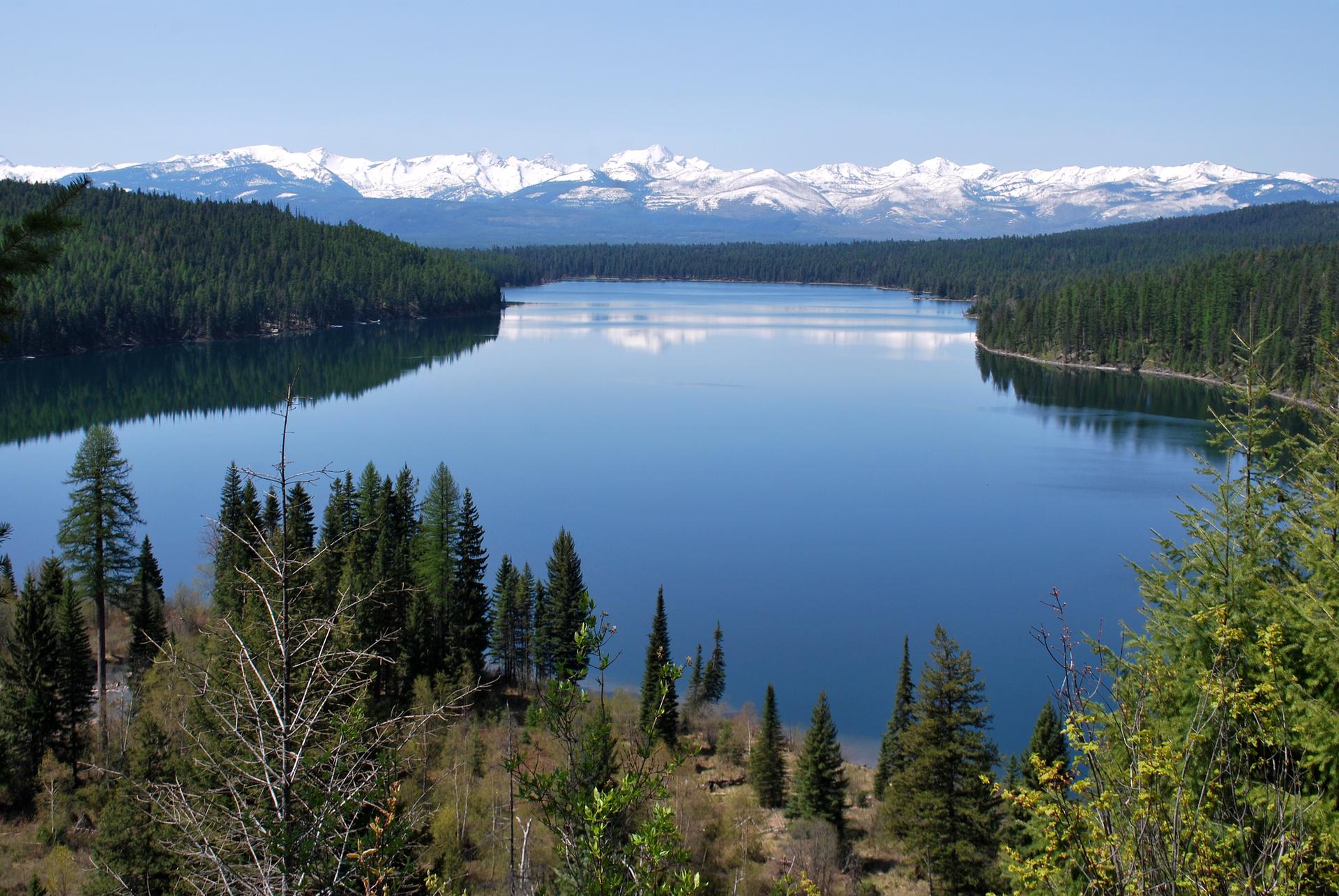 Wide lake surrounded by green forests, snow-capped mountains under a clear sky.
