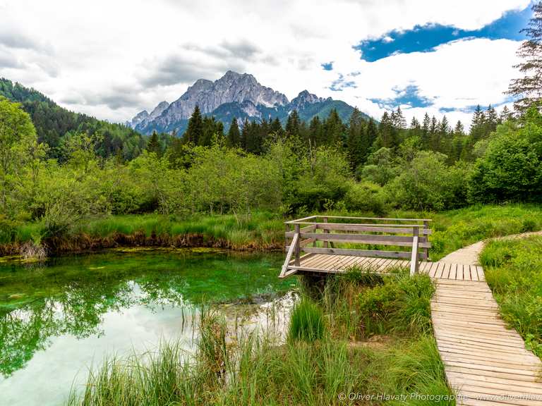 Zelenci Jezero (Source of Sava Dolinka) Routes for Walking and Hiking ...