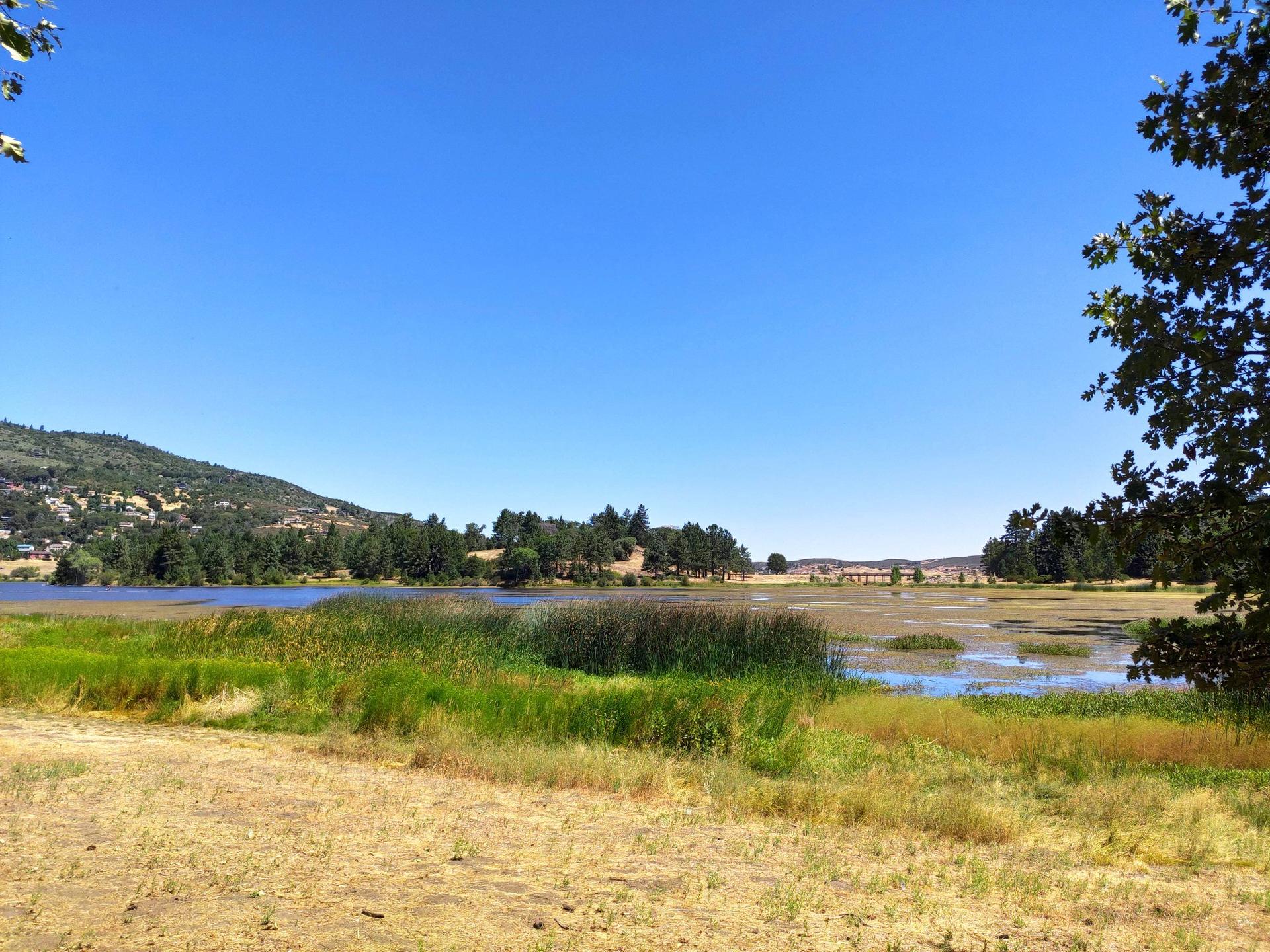 Sunny view of a marshy lake with distant green hills under a clear sky.