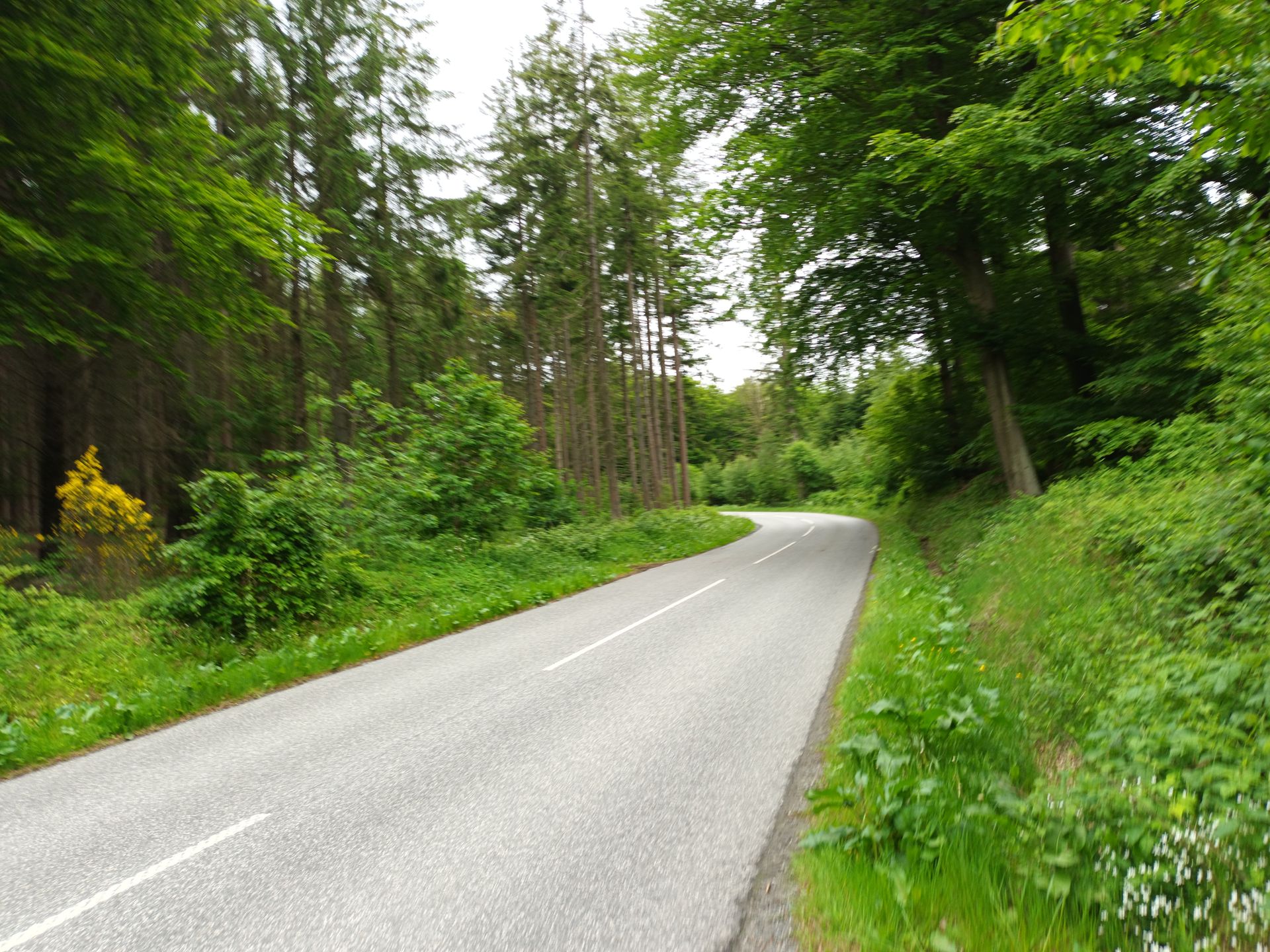 East Coast Route – National Cycle Network Route 5 | Cycling Collection ...