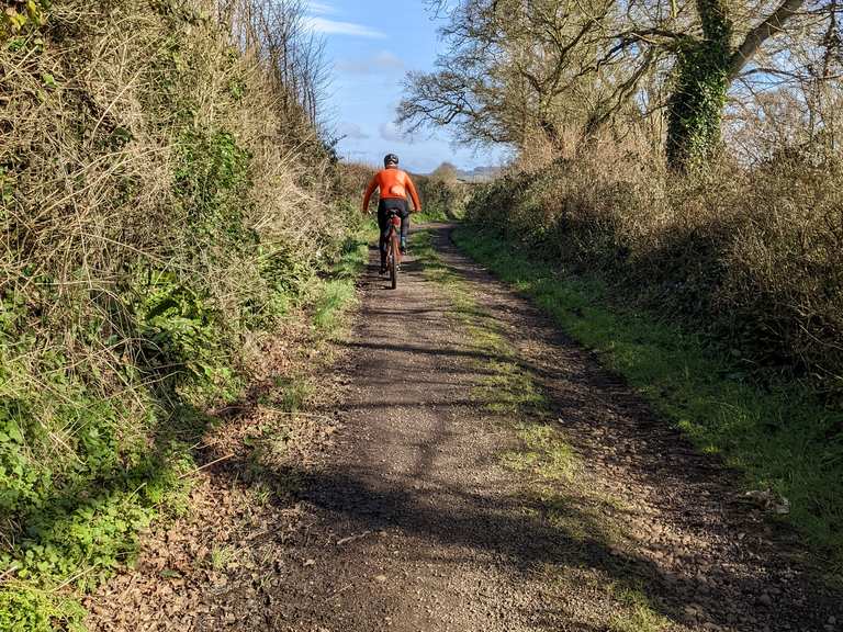 Exton to Woodbury bridleway Mountain Bike Trails & Tracks Komoot