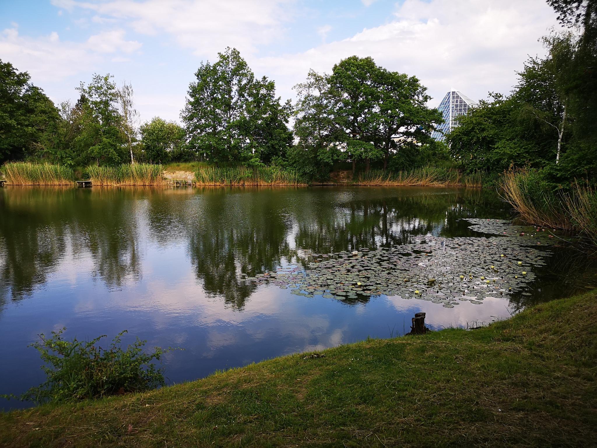 0?width=640&height=360&crop=true&q=70 Tourismus Bad Lausick &ndash; Touren - Rundgang Kurviertel