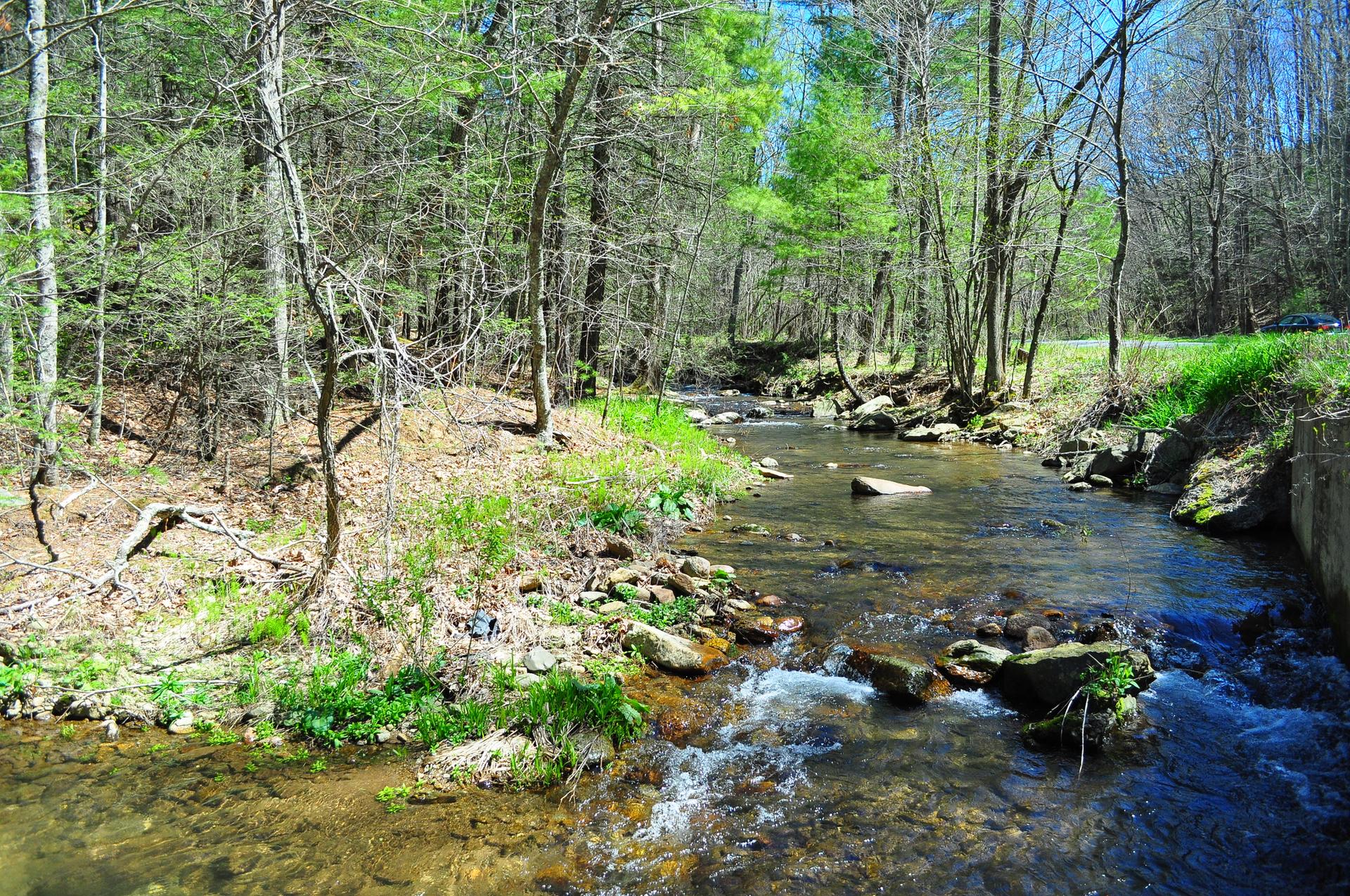 A clear stream flows through a sunlit forest with green trees and rocks.