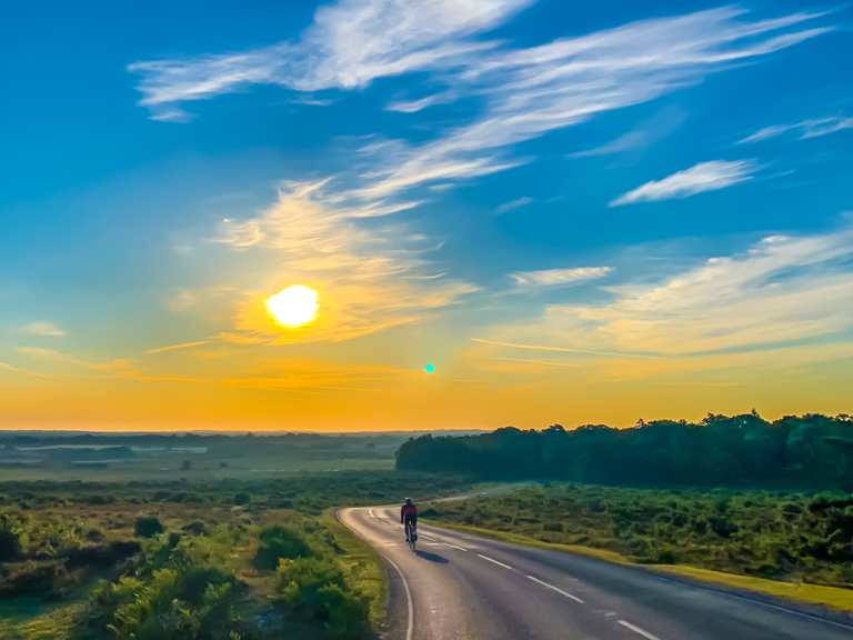 Ringwood & Burley loop from Brockenhurst — New Forest National Park