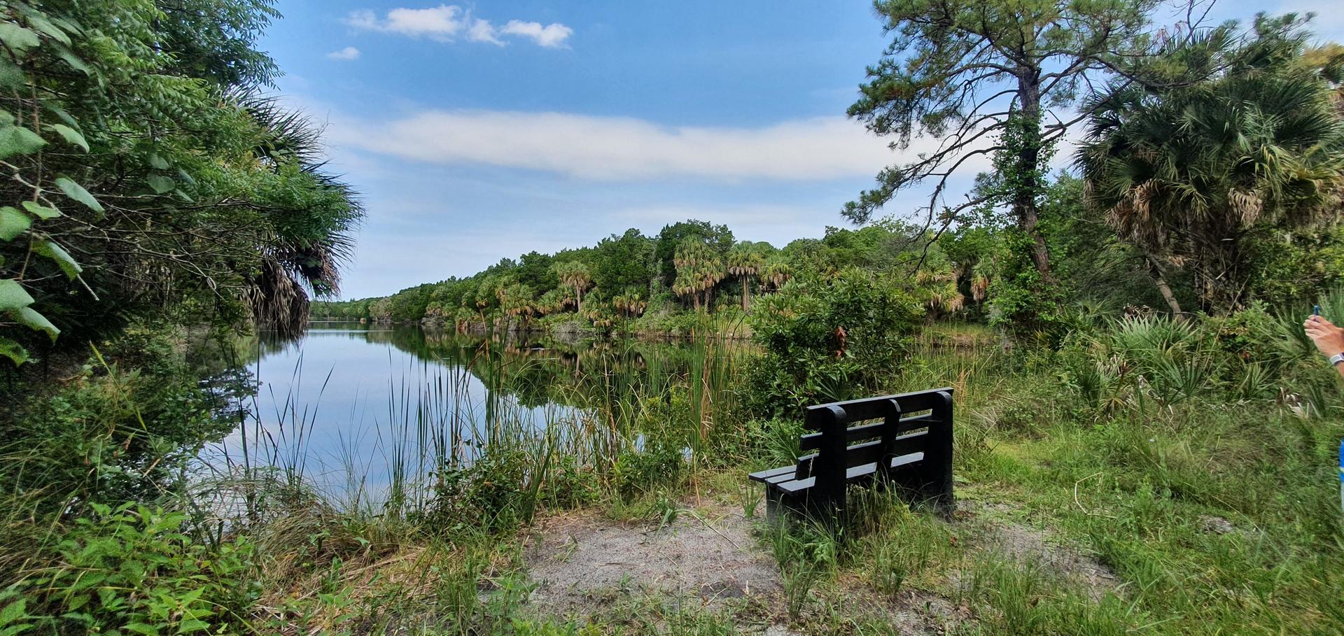 Wooden bench by a calm river, surrounded by lush green foliage under a blue sky.