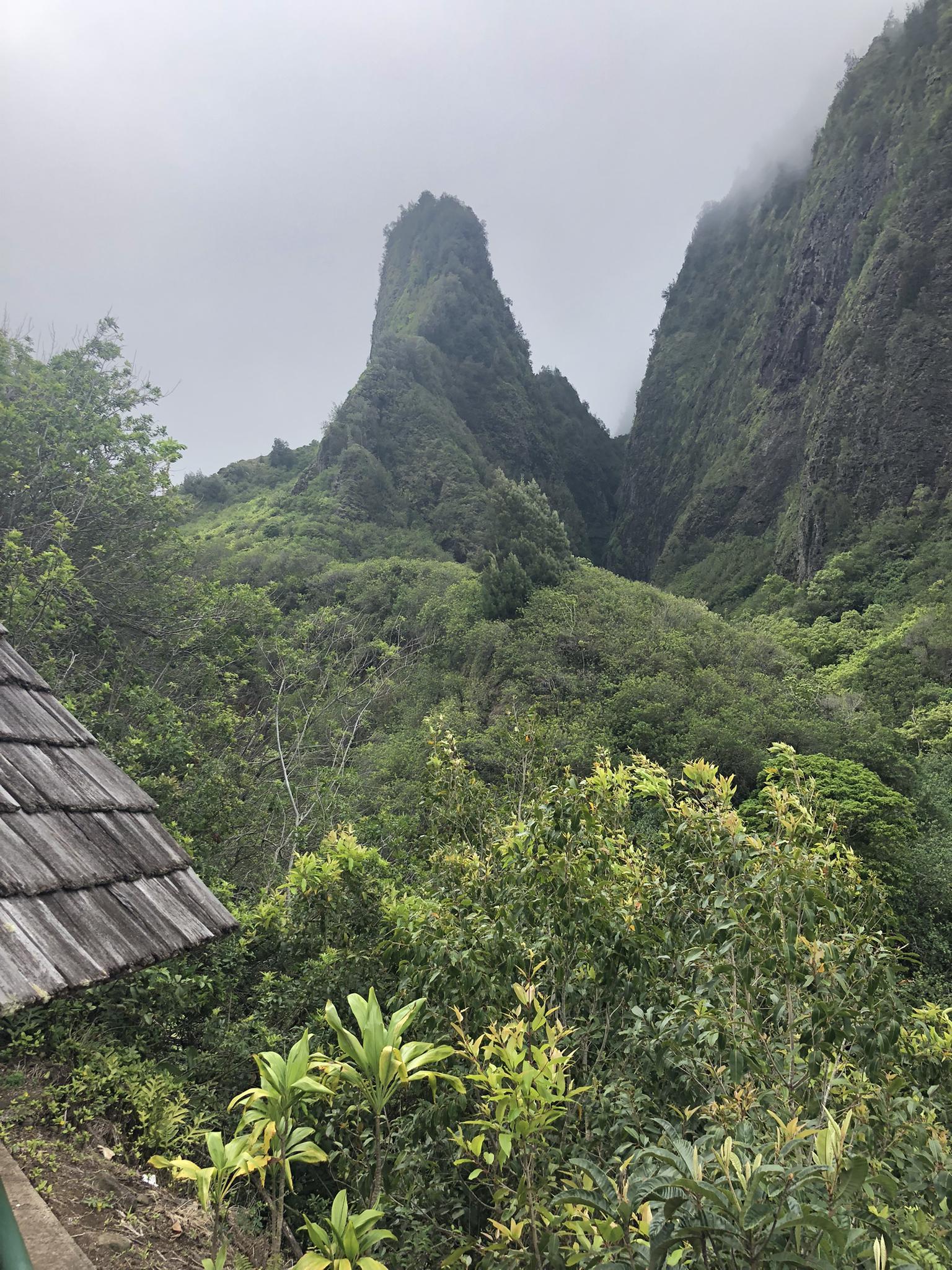 Steep, verdant mountains shrouded in mist, dense tropical foliage in foreground.