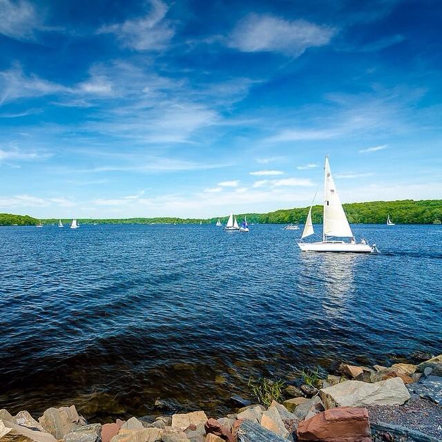 Sailboats dot a sunny blue lake, with green trees and rocky foreground.