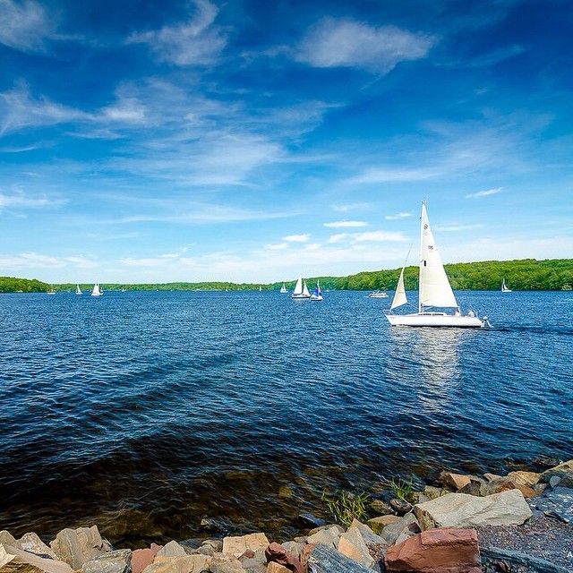 Sailboats dot a sunny blue lake, with green trees and rocky foreground. - Mink, Church, and Elephant Trail Loop