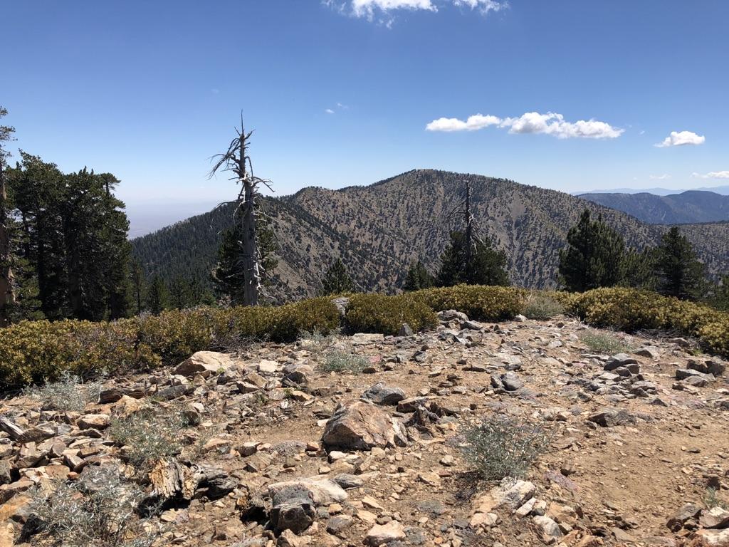 Rocky mountain foreground with sparse vegetation and forested peaks under blue sky.
