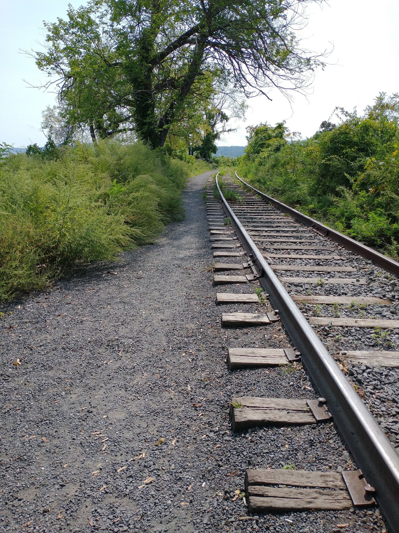 Gravel path next to curving railroad tracks, surrounded by green foliage. - Rondout Creek loop from Kingston