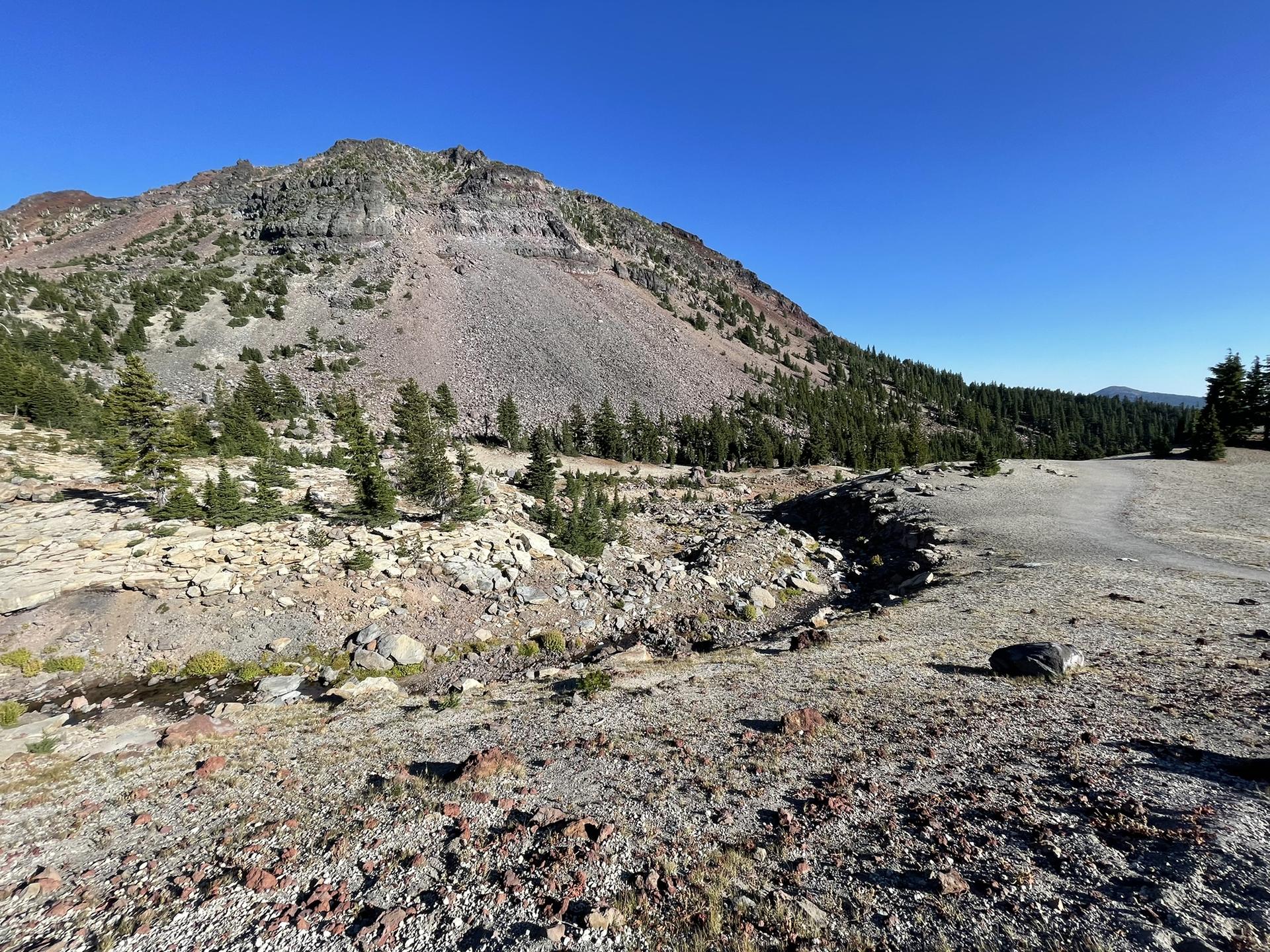 Rocky, barren hillside with scattered trees and a large mountain.