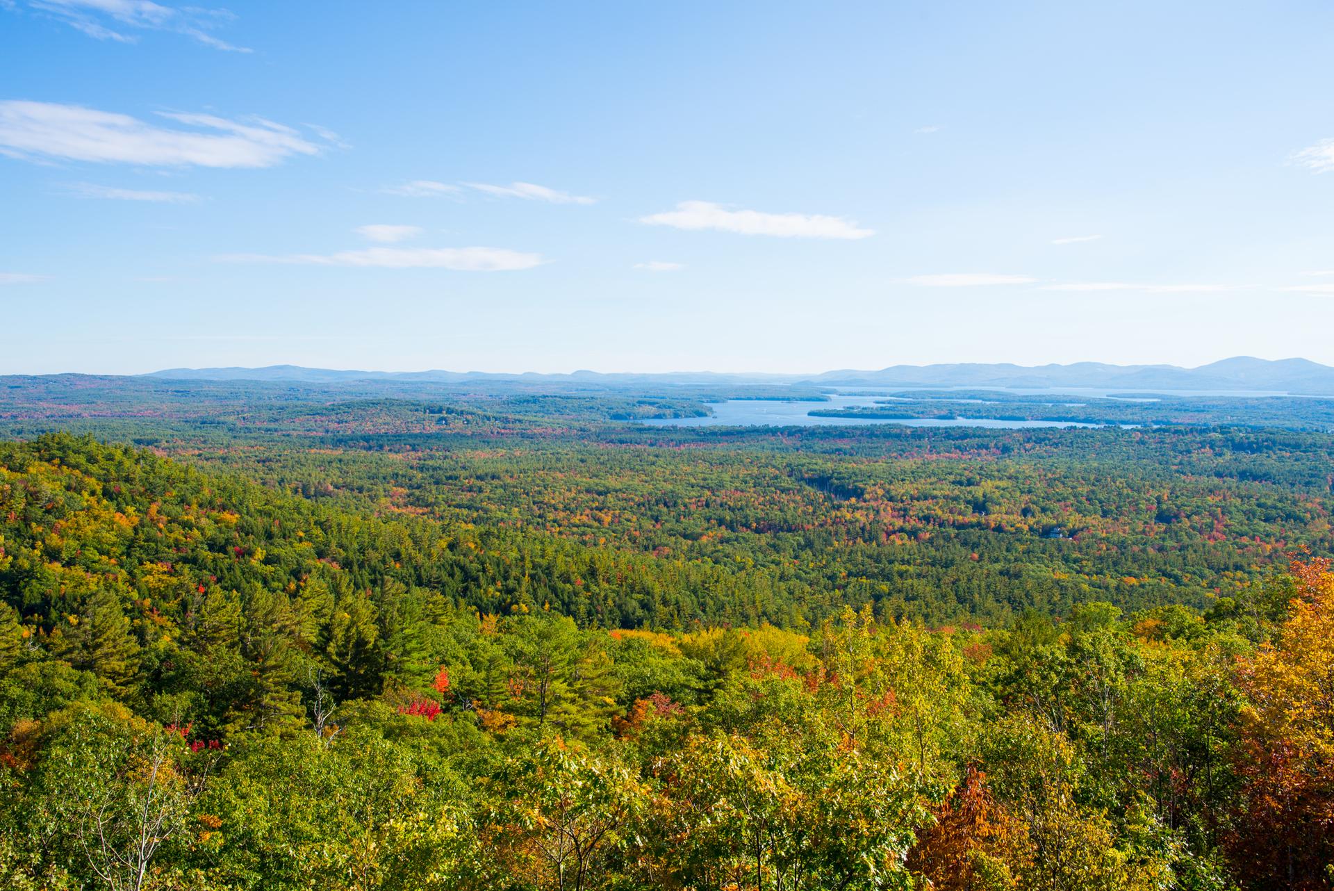 Vast autumn forest landscape with a distant lake under a bright blue sky.