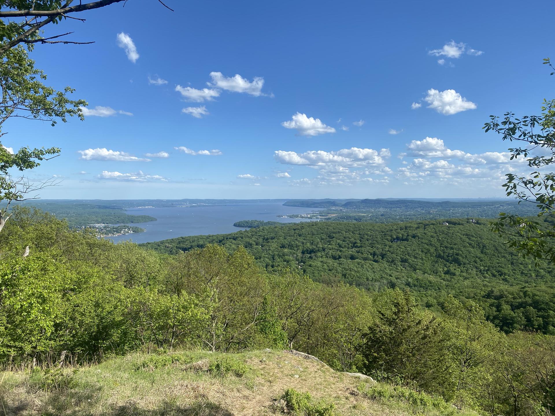 Sunny panoramic view of lush green forests and a wide blue water body.