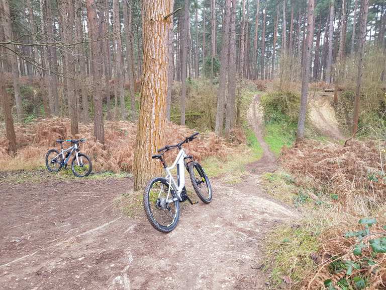 Thetford Forest High Lodge trails mountain bike ride Komoot