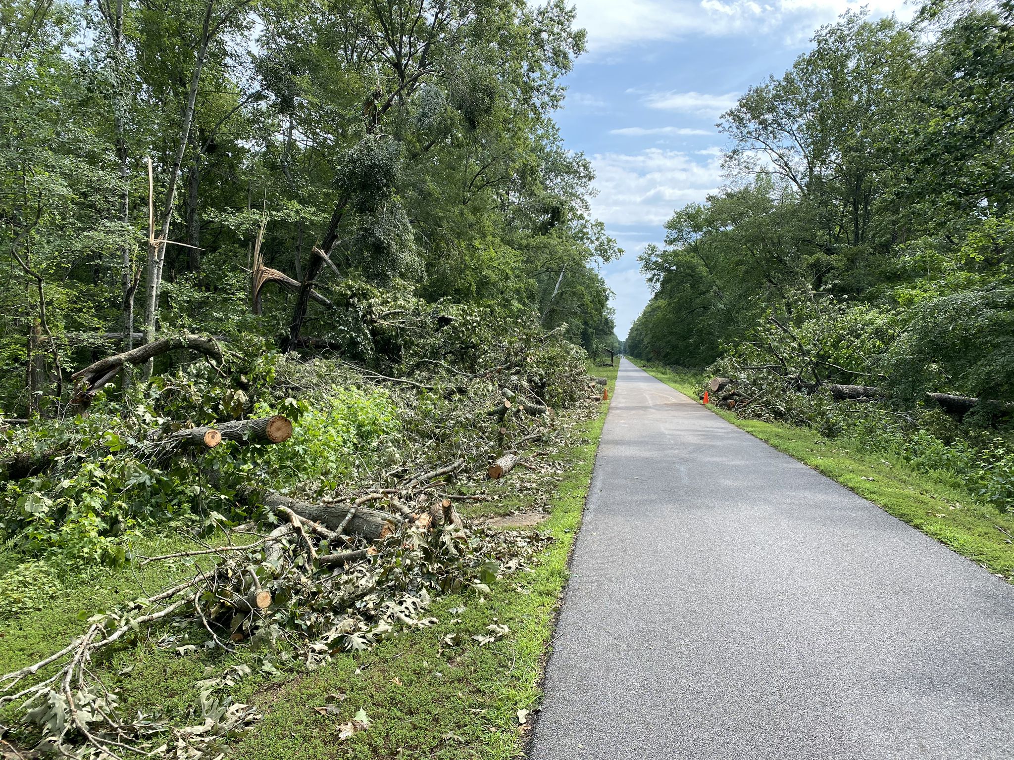 Sunny paved path bordered by green trees and large piles of fallen branches. - Indian Head Rail Trail