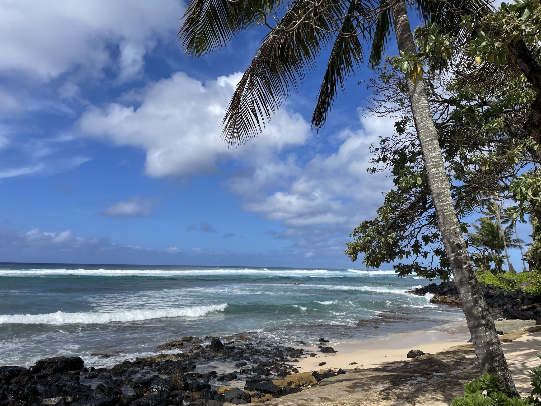 Crashing ocean waves on a rocky beach with palm trees under a blue sky. - Lawa'i Beach – Lawai Beach loop from Moir Garden