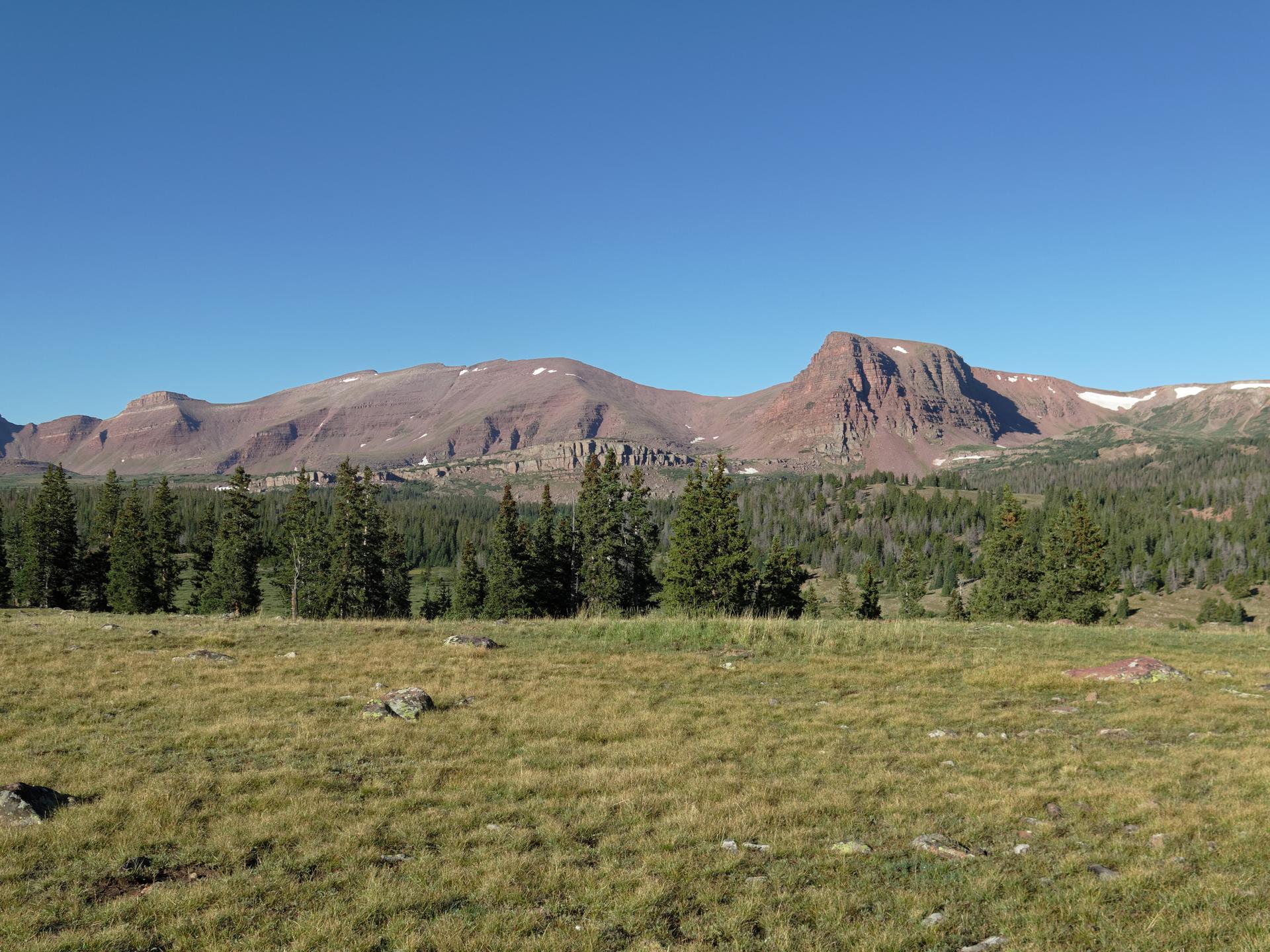 Sunny mountain range overlooks a green field and pine forest under clear sky.