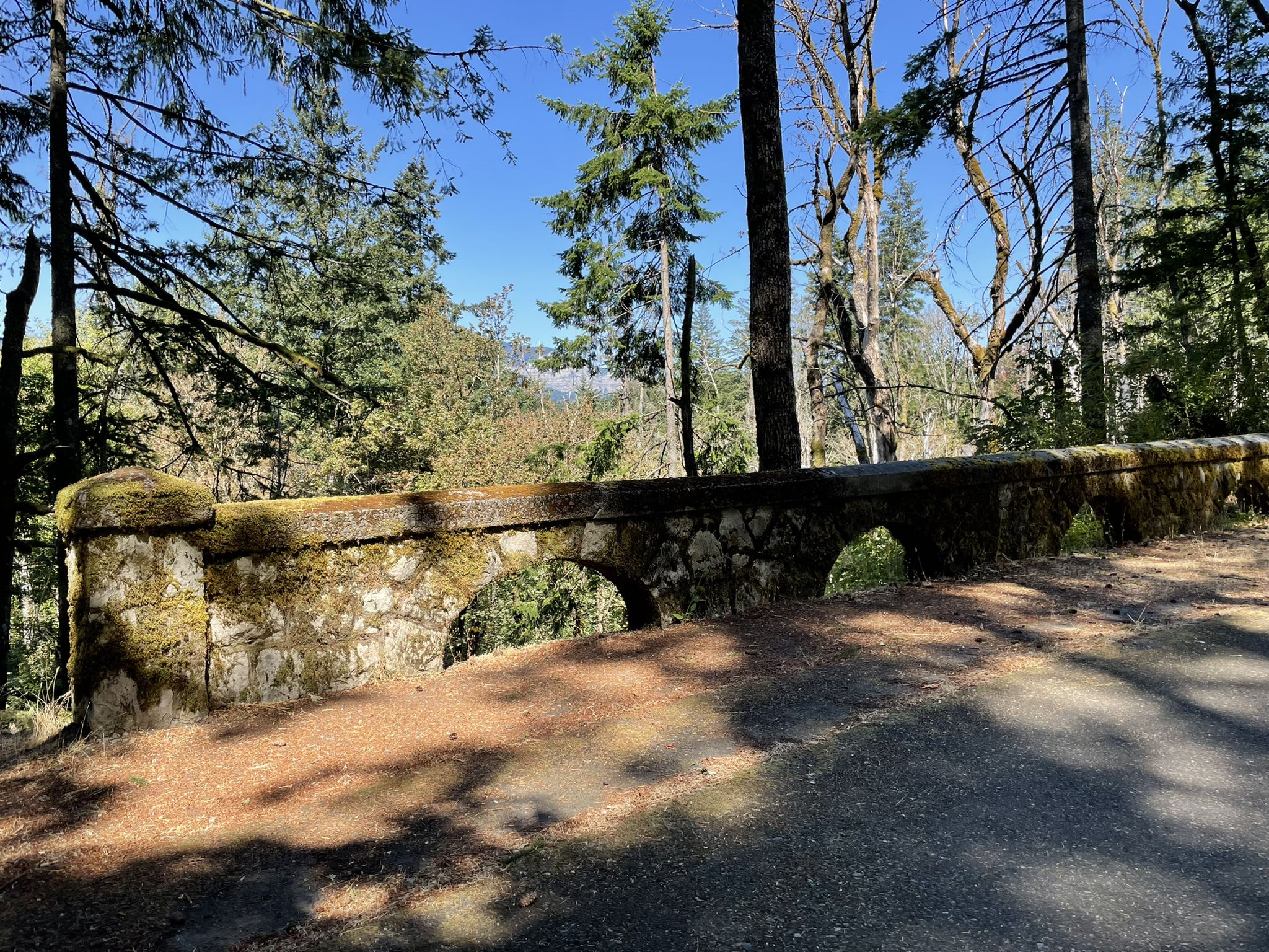 An old moss-covered stone arch bridge in a sunny forest. - Historic Columbia River Highway Trail: Eagle Creek to Cascade Locks