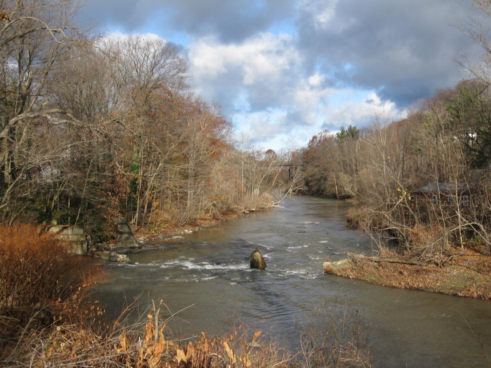 Overcast view of a river flowing through bare autumn trees.