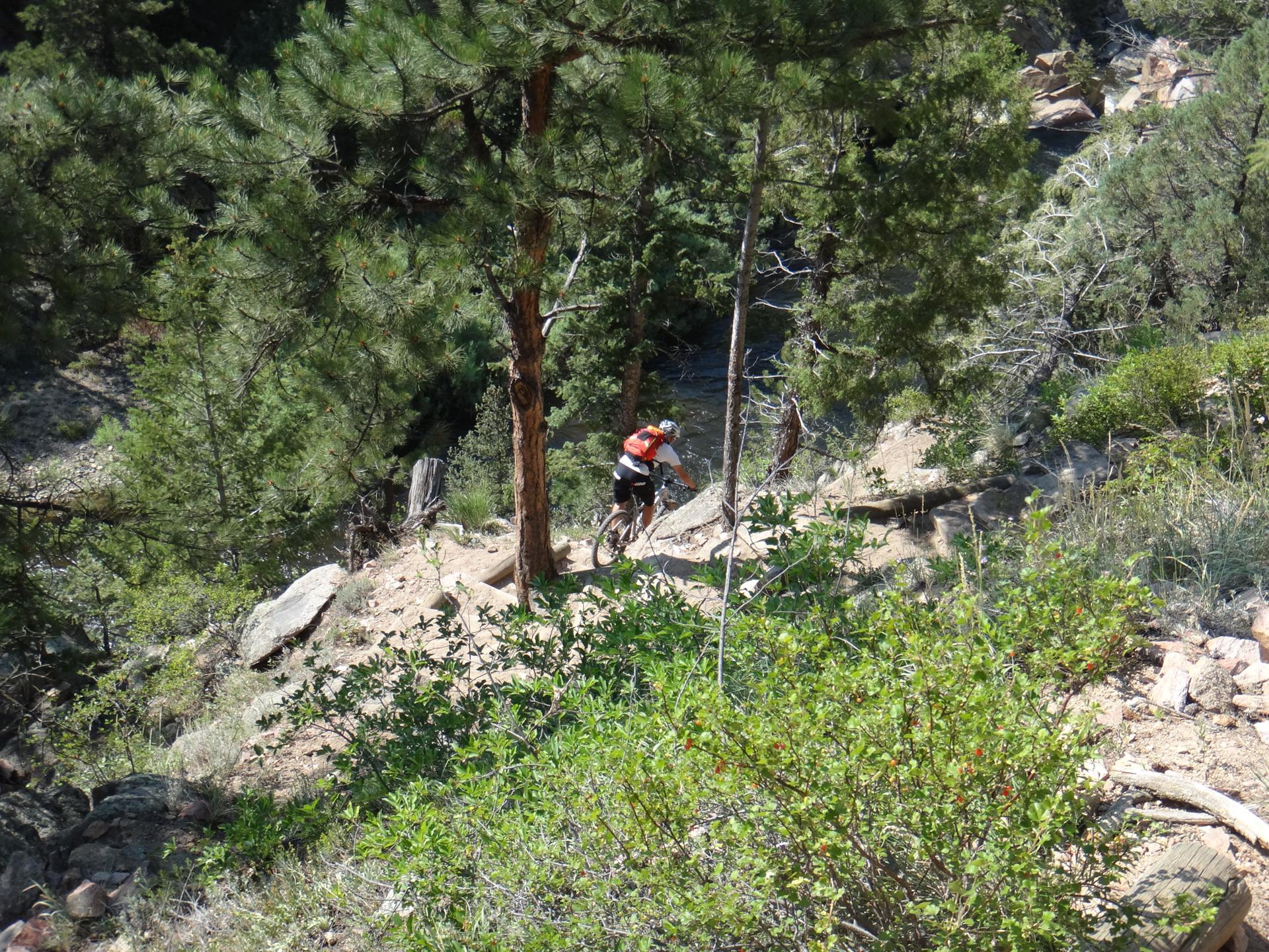 A person mountain bikes down a rocky, forested trail on a sunny day.