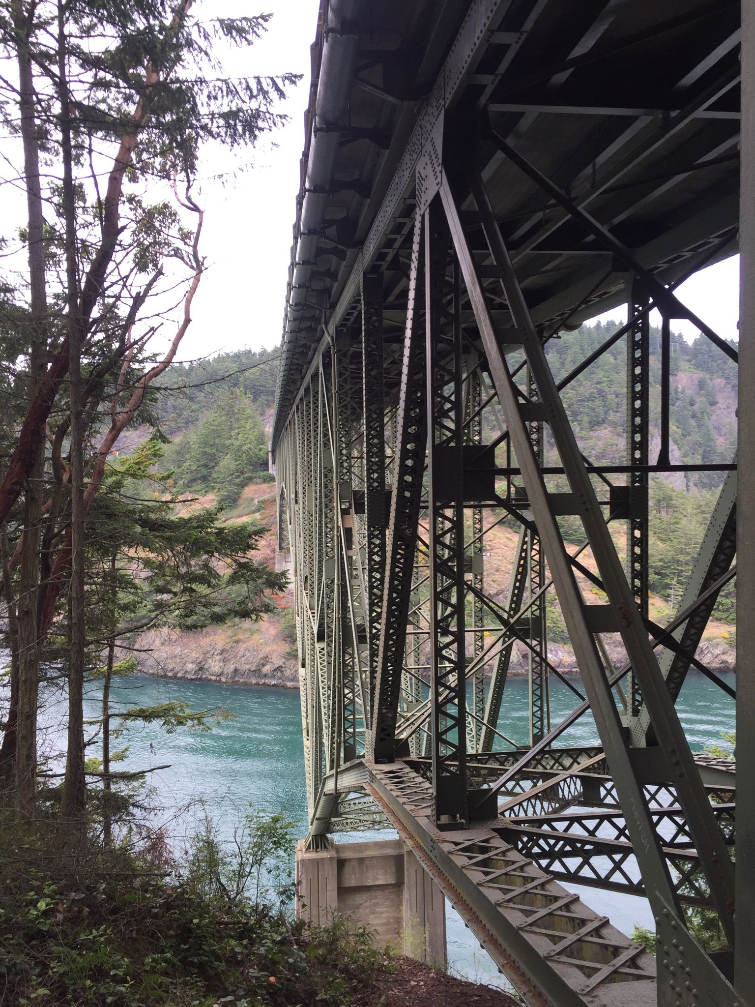 View from below a large metal bridge over a blue waterway, surrounded by trees. - Skagit Valley