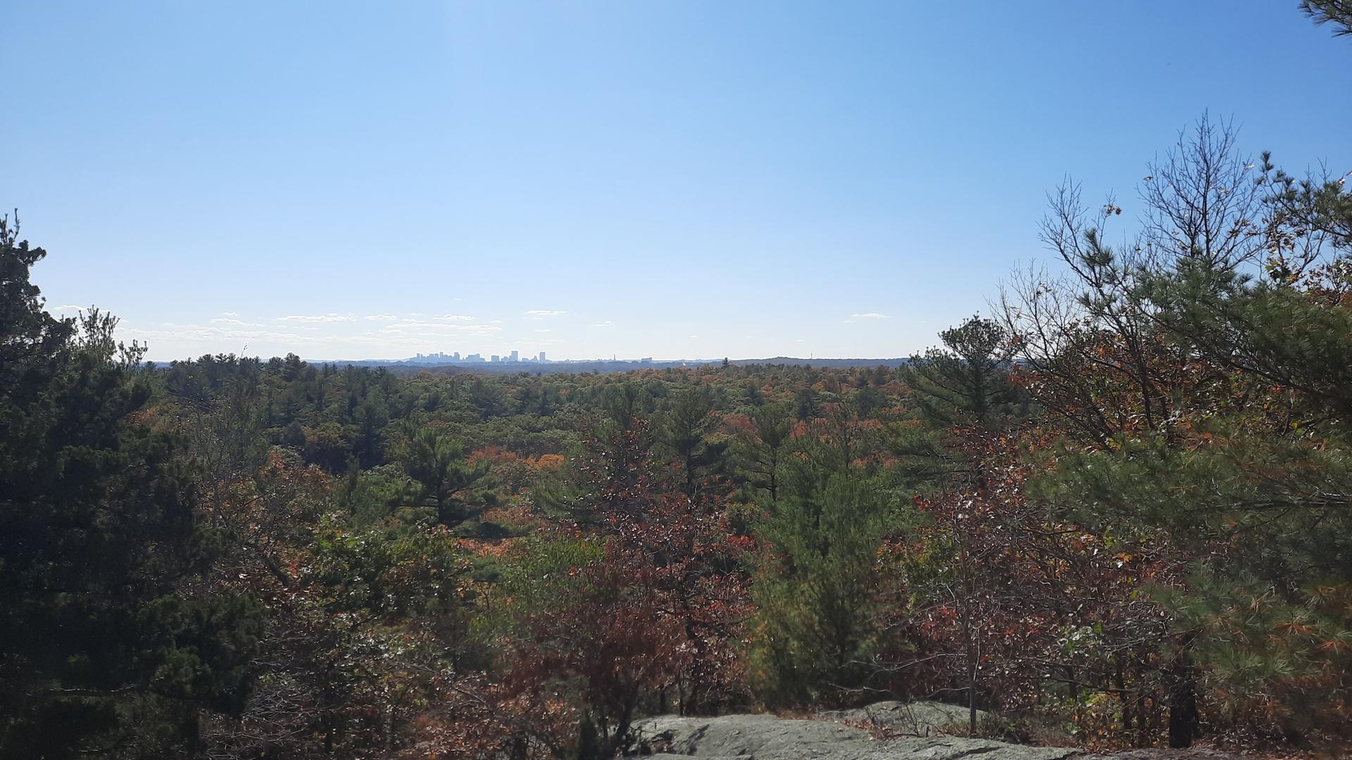 Clear day view of a distant city skyline over a colorful forest.