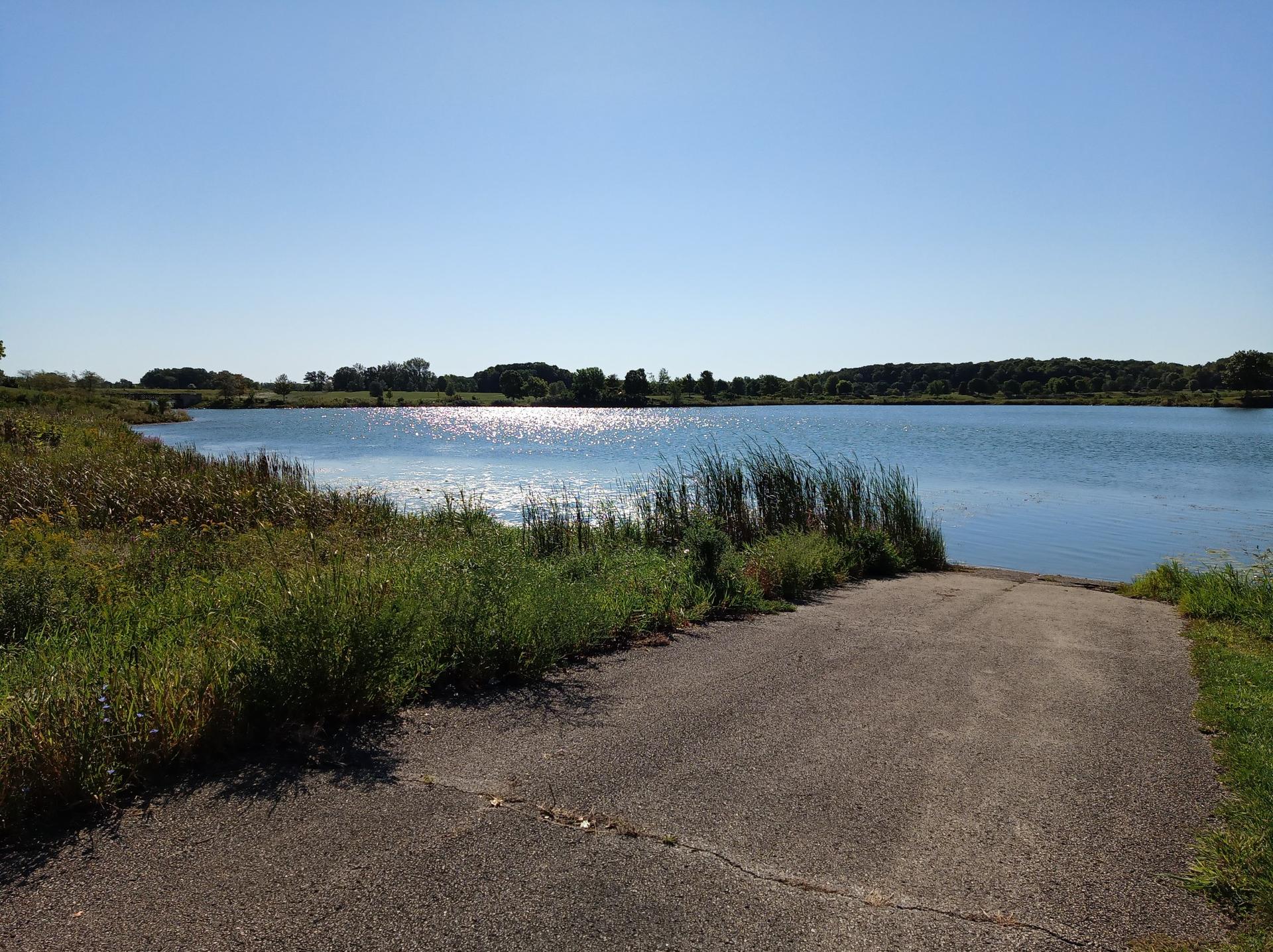 Boat ramp leading into a sunny lake with reeds and distant trees.