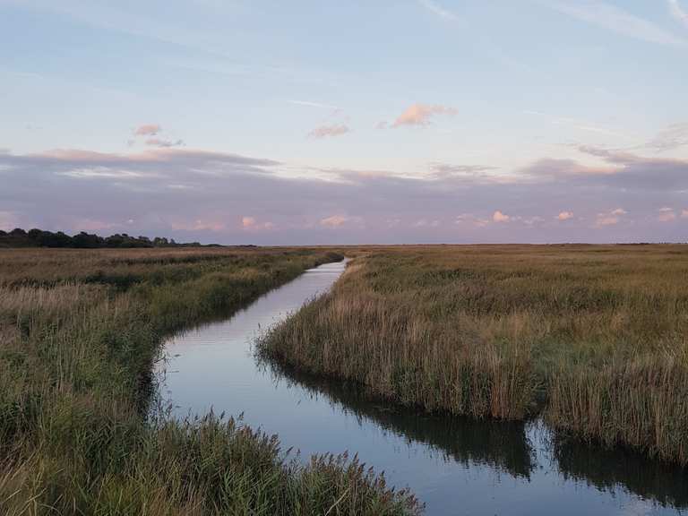 Tinker's Marshes, Corporation Marshes & Walberswick loop from Southwold ...