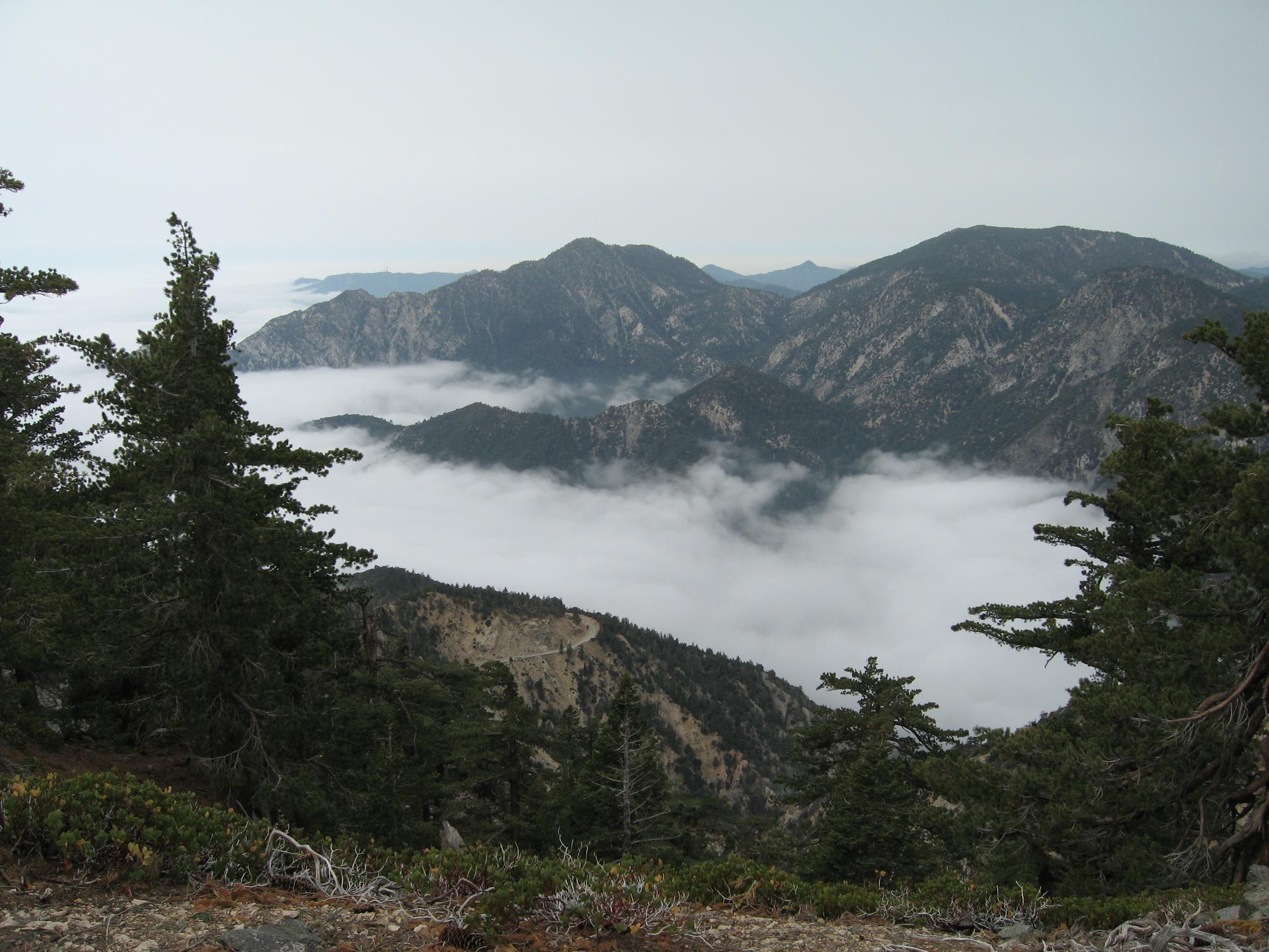 Overcast view of mountain peaks rising above a thick cloud inversion.