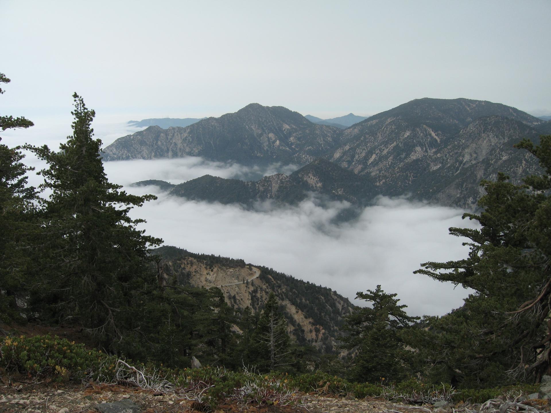 Overcast view of mountain peaks rising above a thick cloud inversion.