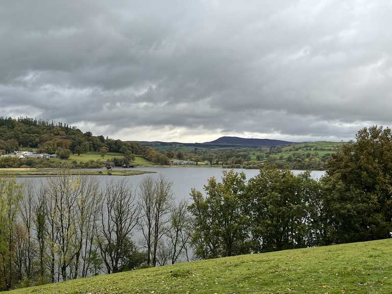 penllyn-forest-and-the-dee-valley-circular-from-bala-mountain-bike