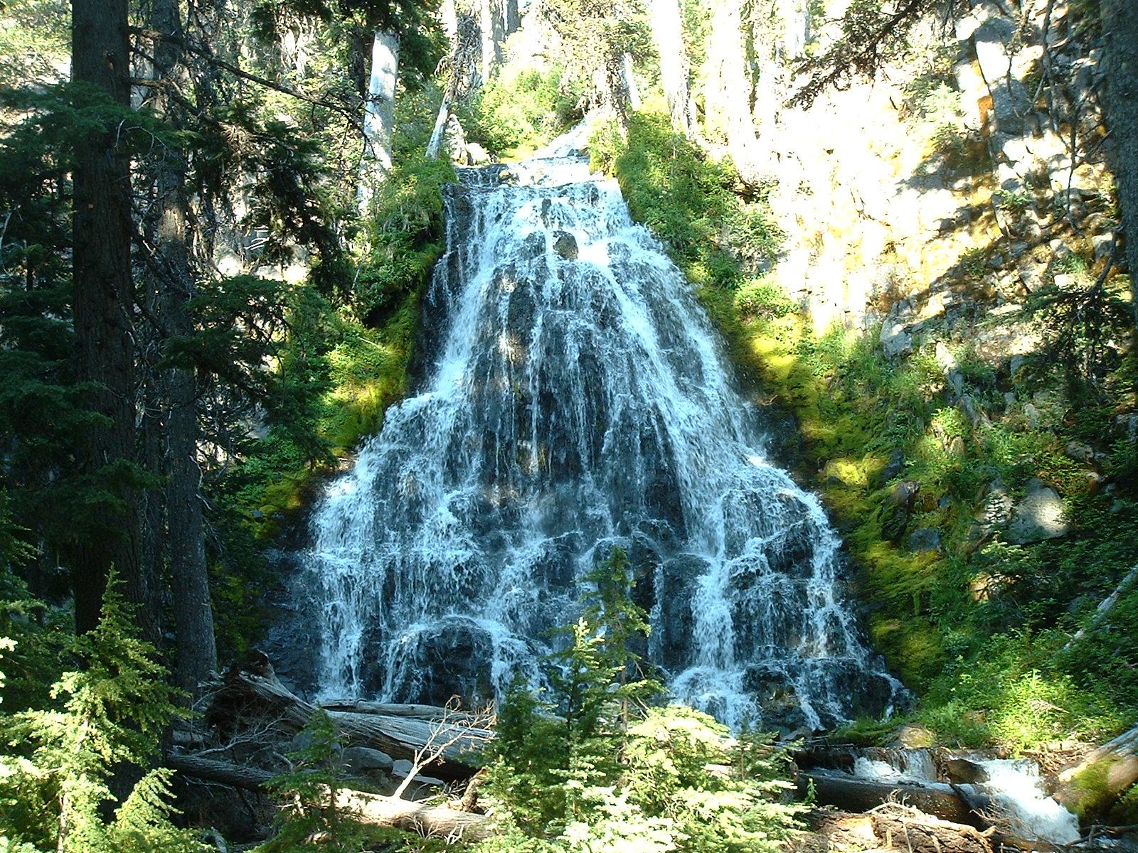 A beautiful waterfall cascades through a lush green forest in bright sunlight.