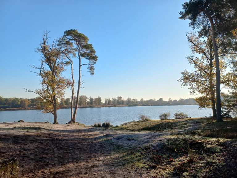 Kampina wandelroutes en hikes | Komoot