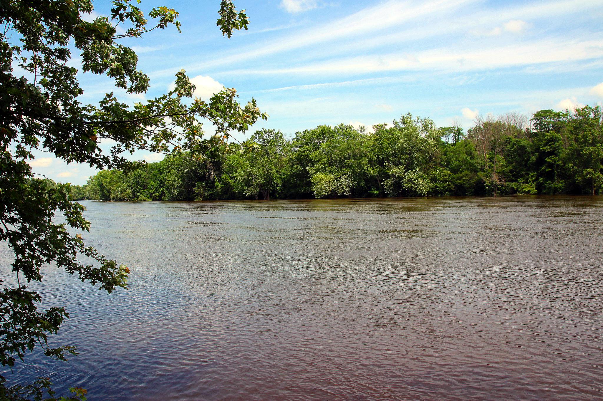 Wide river with lush green trees lining the distant bank under a blue sky.