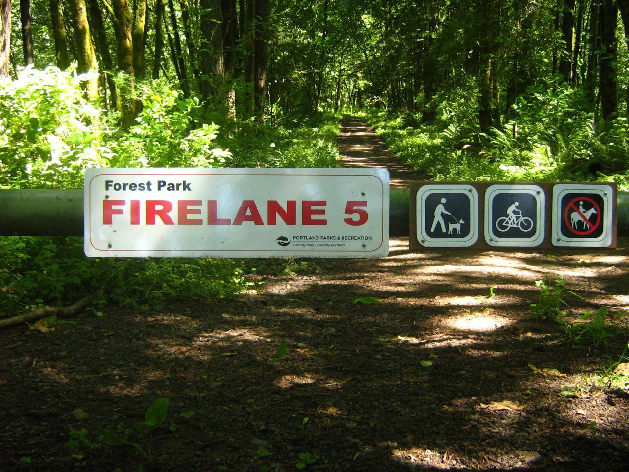 A white sign and activity symbols on a bar across a sunlit forest path.