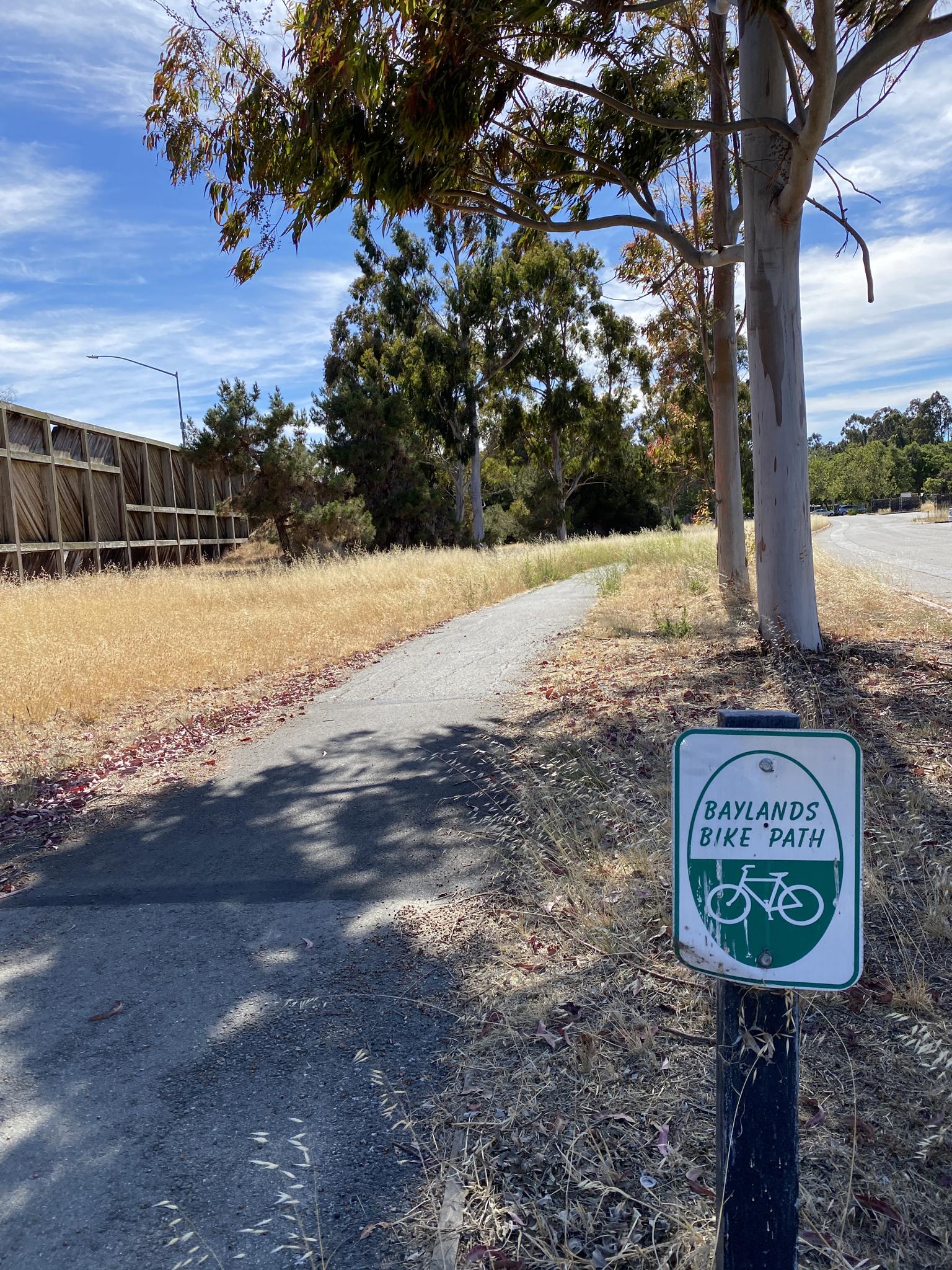 Sunny paved path with a bike sign, dry grass, and trees.