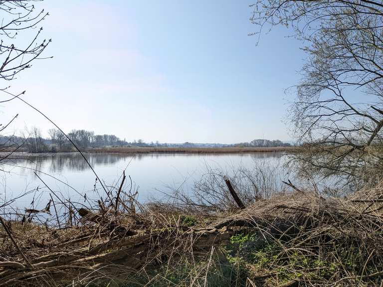 Reinheimer Teiche Teichscheune Runde von Otzbergring Wanderung Komoot