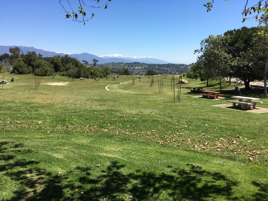 Sunny park with green grass, picnic tables, and distant mountains under clear sky.