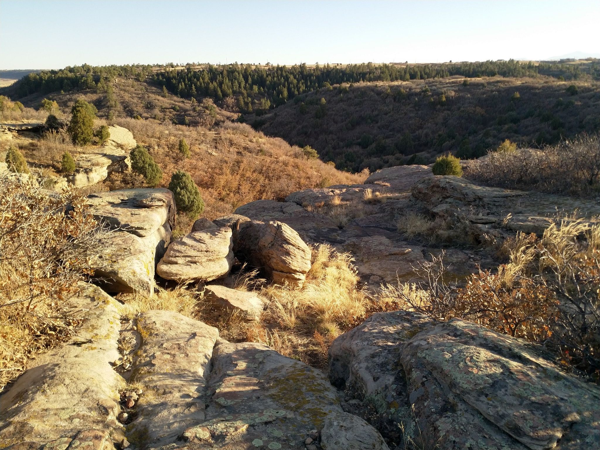 Rocky desert landscape with distant trees under bright morning sunlight. - Cherry Creek Trail