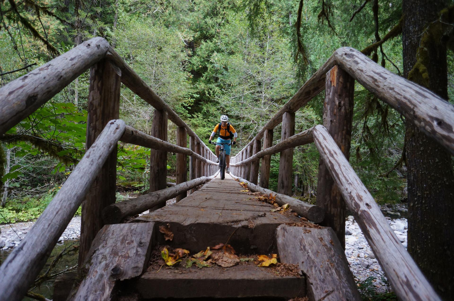 Person on a mountain bike crossing a rustic wooden bridge in a forest.