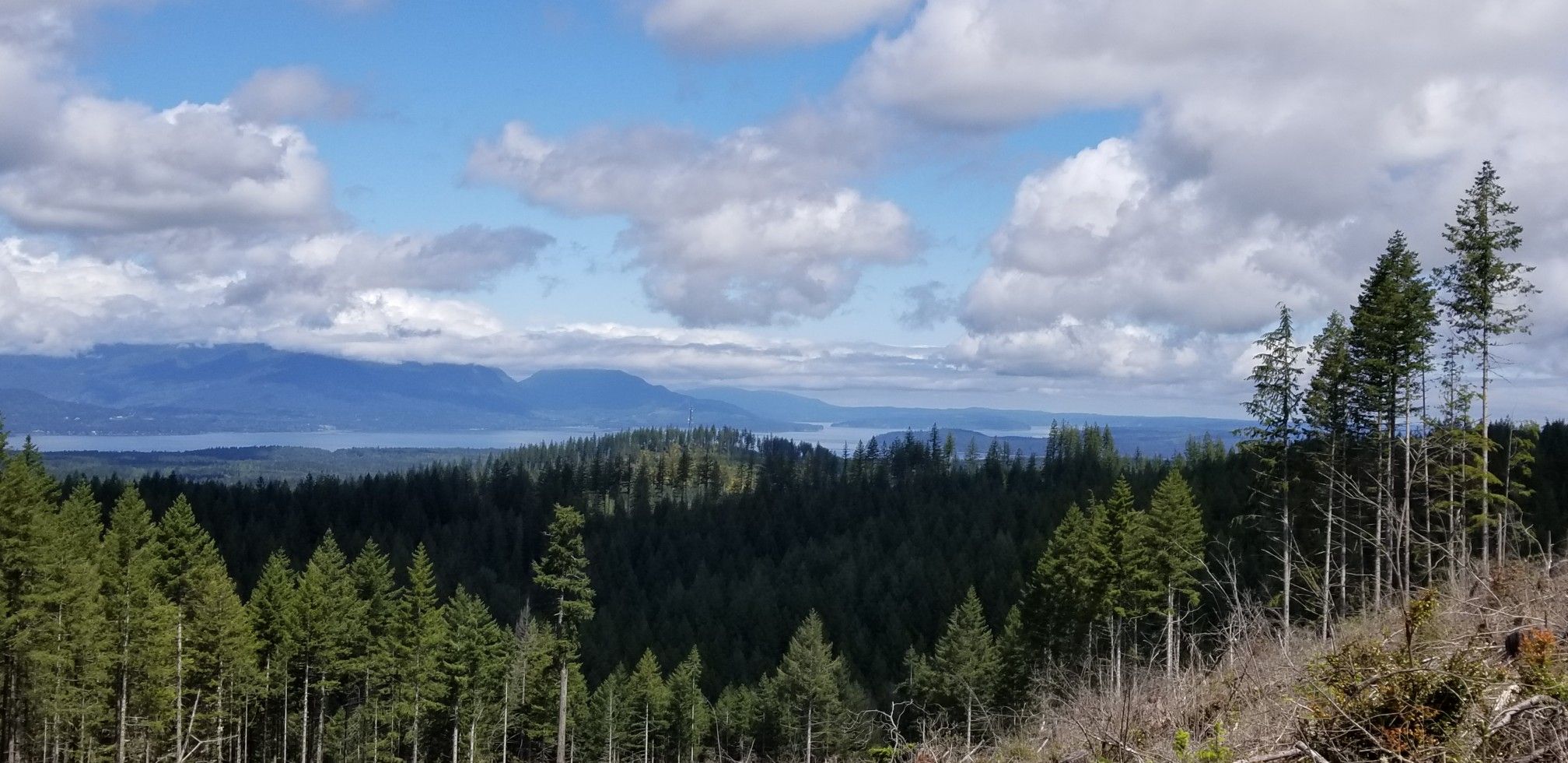 Bright, partly cloudy view over a vast forest, distant water, and mountains. - Green Mountain Loop – Green Mountain State Forest