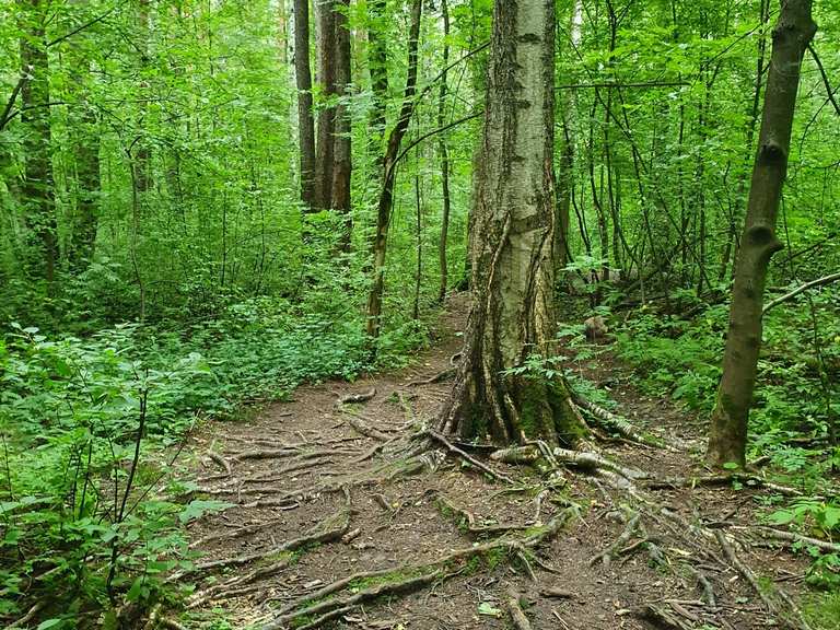 Новоорловский заказник : Radtouren und Radwege | komoot
