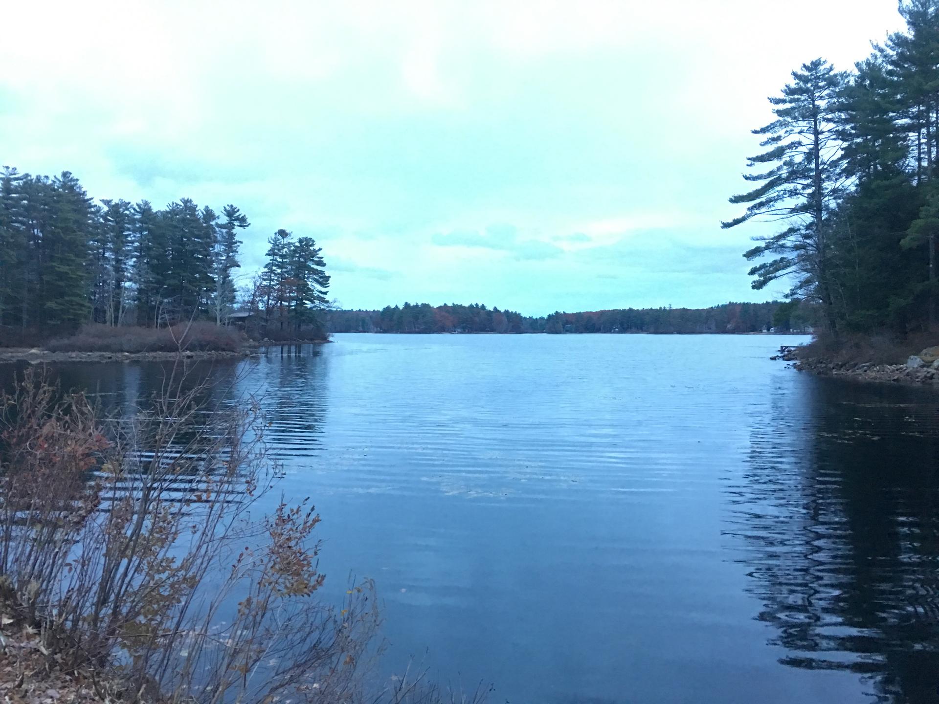 Wide lake view with green trees under a bright, cloudy sky.