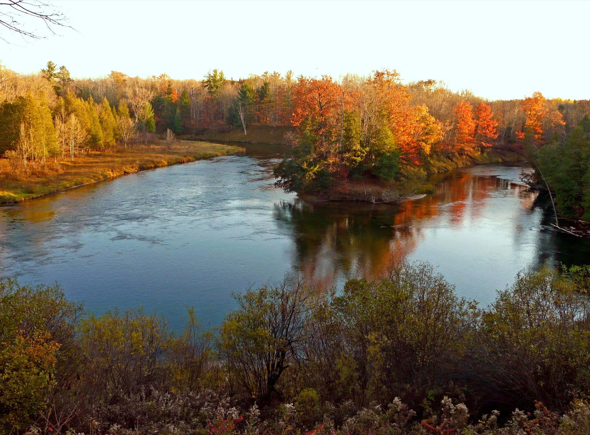 A river winds through a forest vibrant with autumn colors in warm light.