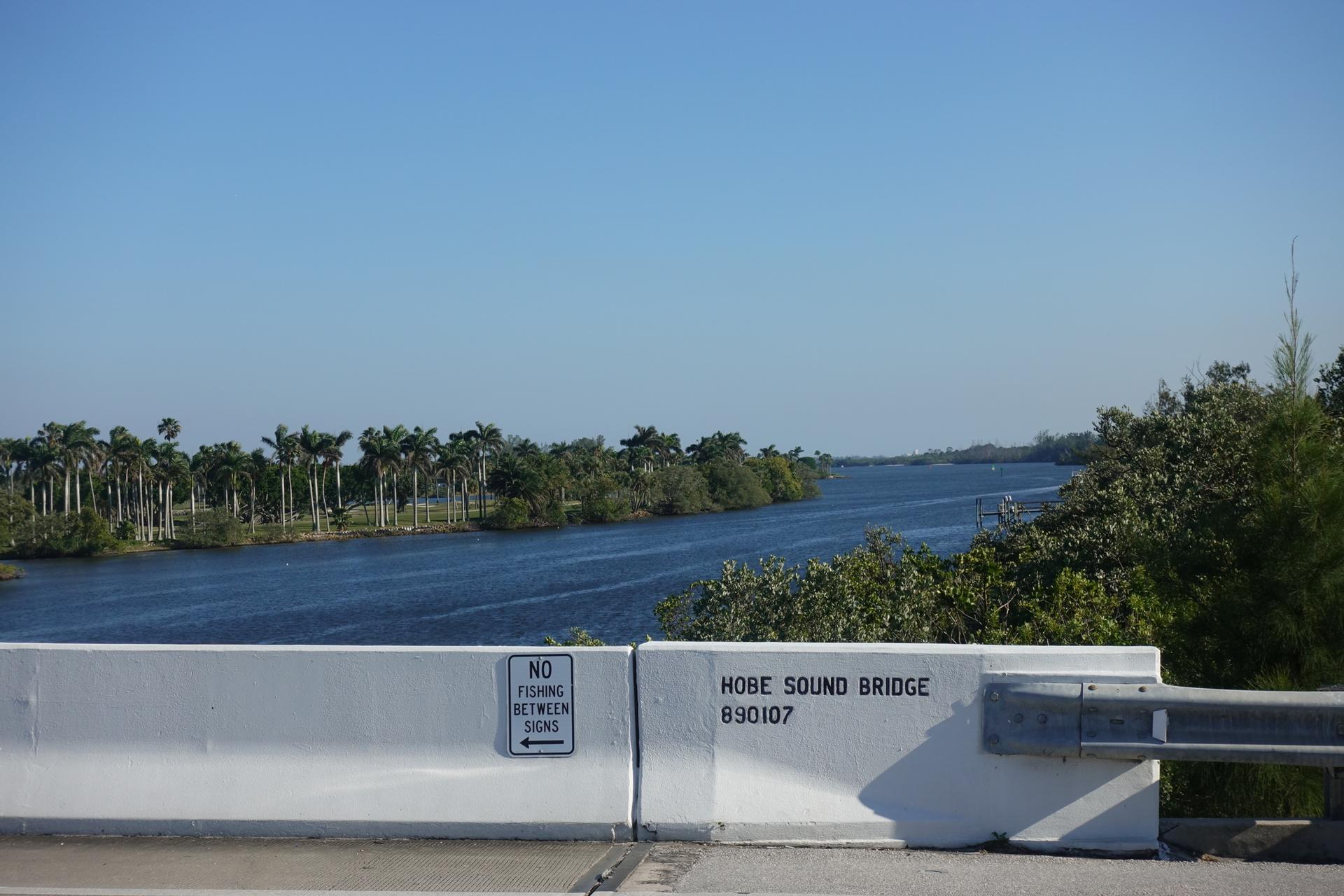 A wide river flows past palm trees, seen from a bridge on a sunny day.