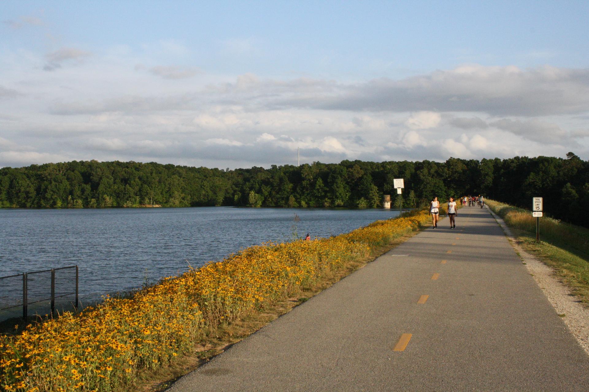 People walk on a paved path next to a lake, wildflowers, and forest.