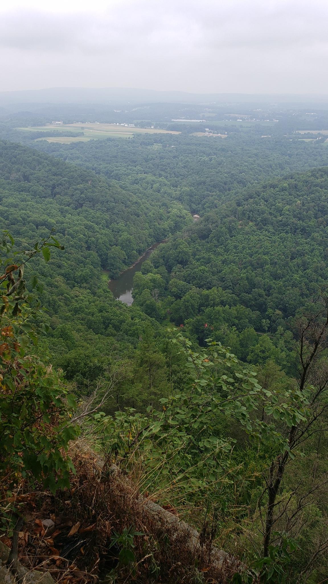 Overcast view of a winding river through a dense green forested valley.