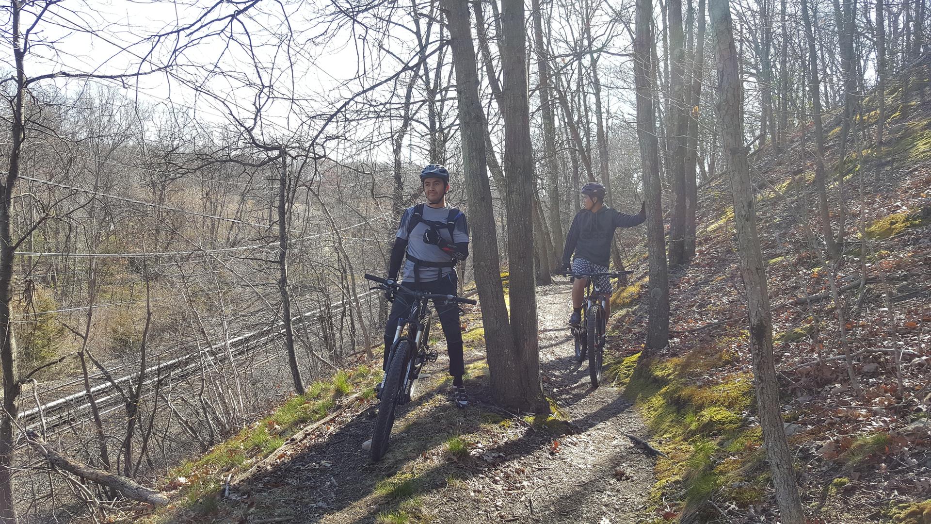 Two mountain bikers stand on a sunny, wooded hillside with bare trees.